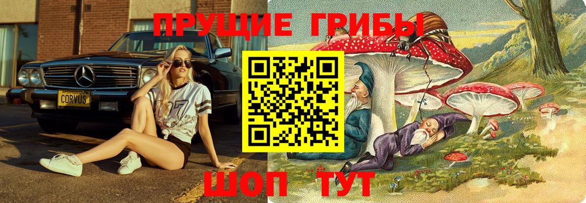 Псилоцибиновые грибы Psilocybine cubensis  Вход с VPN  Семёнов 